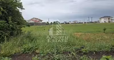 Teren Aradului