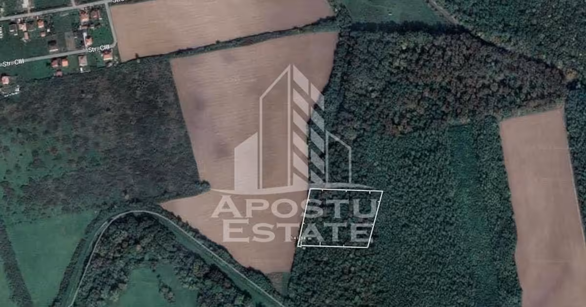 Teren extravilan de vânzare de 10000 mp, în Șag