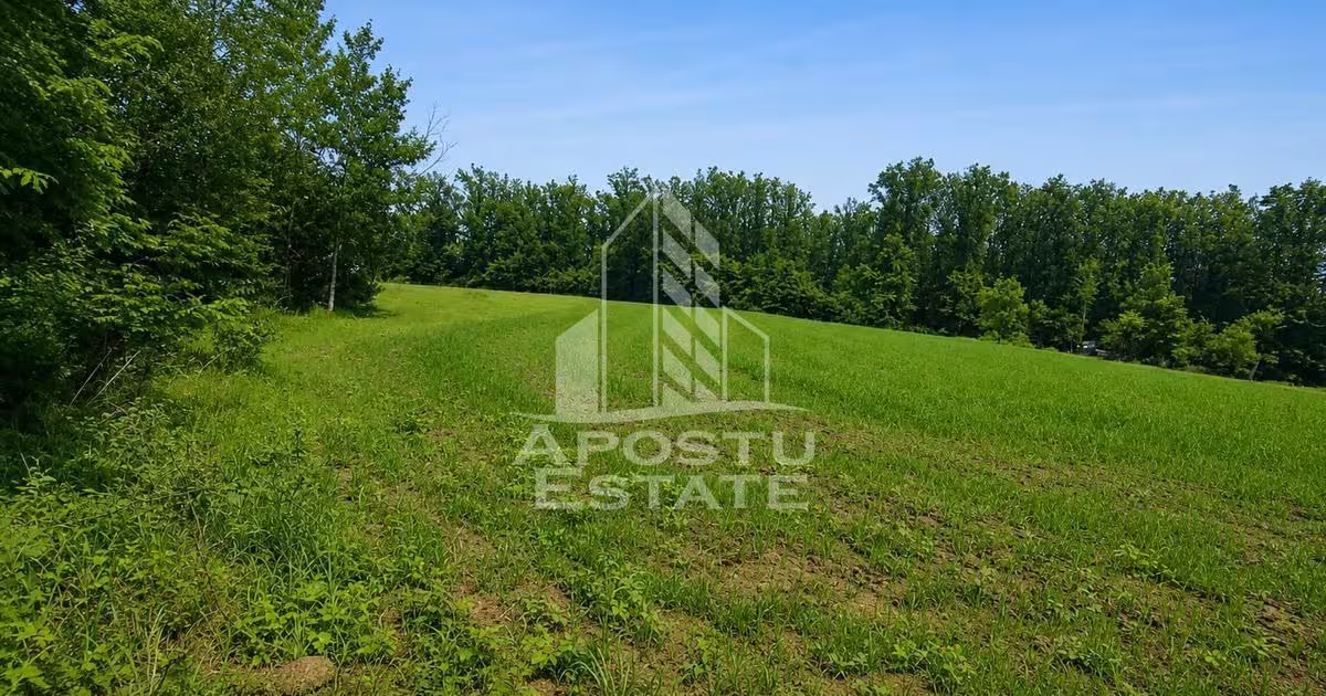 Teren agricol extravilan de vânzare de 8600 mp, în Cuied