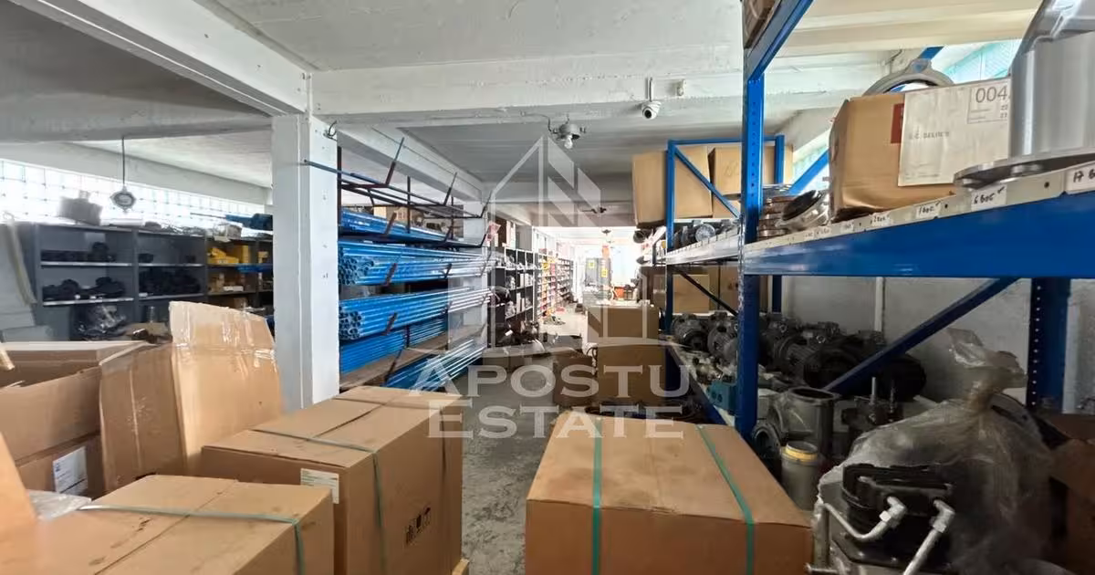 Spațiu industrial de vânzare în Săcălaz