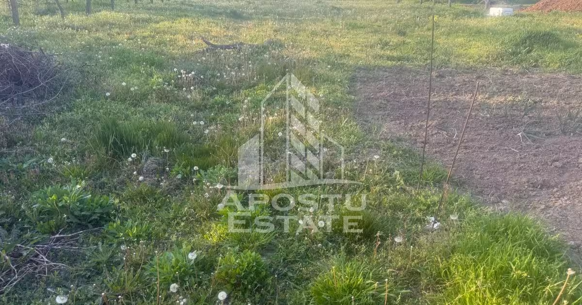 Casă individuală de vânzare cu 3 camere în Ianova