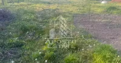 Casă Aradului