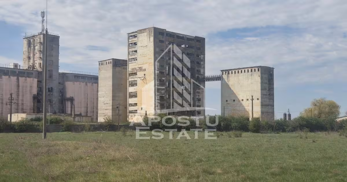 Spațiu industrial de vânzare în Sânnicolau Mare