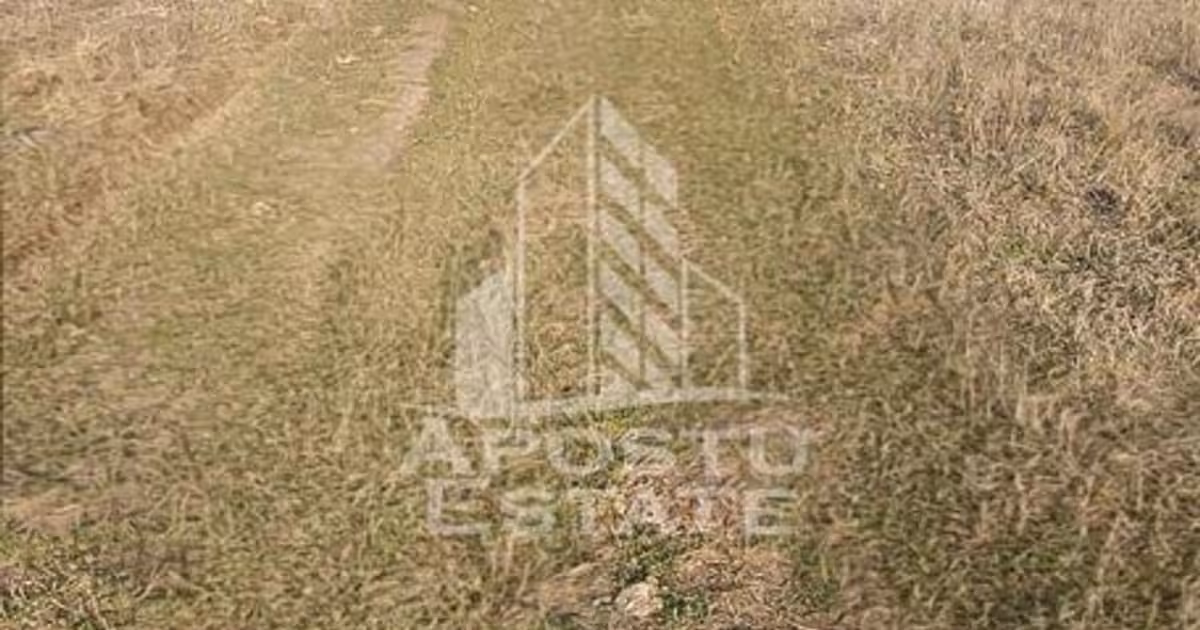 Teren agricol extravilan de vânzare de 15224 mp, în Bârsa