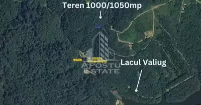 Teren Văliug