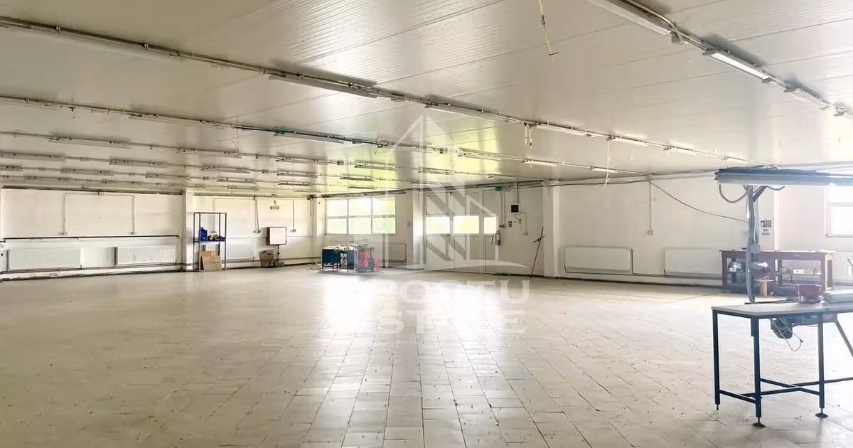 Spațiu industrial de vânzare în Prunișor