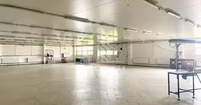 Spațiu comercial Prunișor