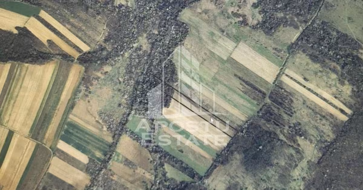 Teren agricol extravilan de vânzare de 10224 mp, în Bârsa