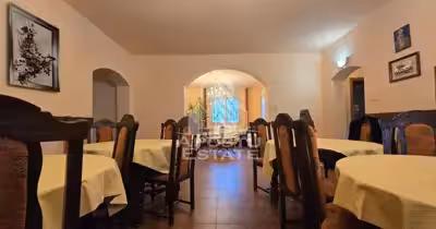 Spațiu comercial Elisabetin