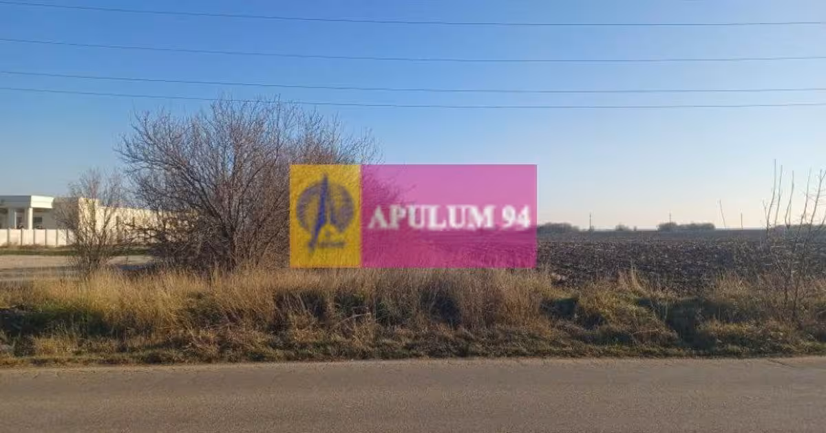 Teren Construcții intravilan de vânzare de 8800 mp, în Săbăreni