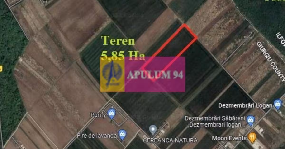 Teren Construcții intravilan de vânzare de 58500 mp, în Săbăreni