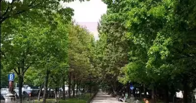 Apartament Unirii