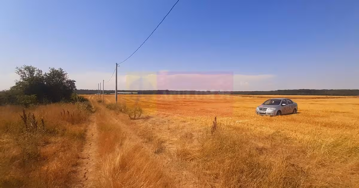 Teren Construcții intravilan de vânzare de 2000 mp, în Brănești