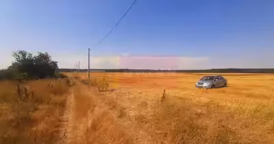 Teren Brănești