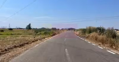 Teren Domnești