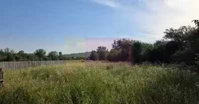 Teren Brebu