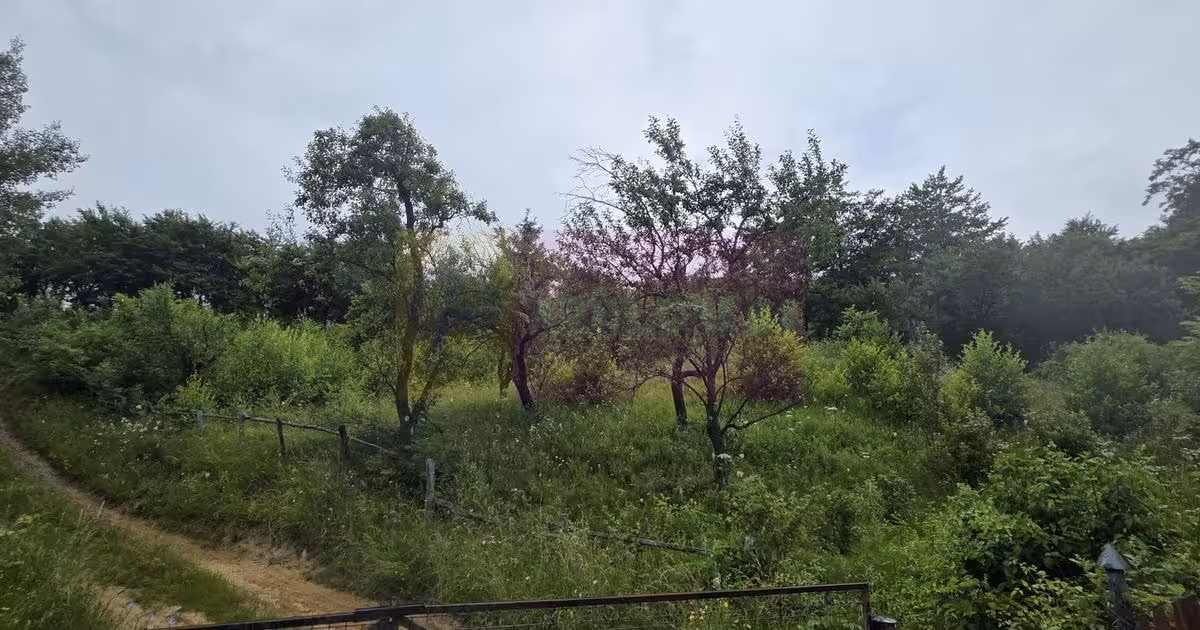Teren Construcții intravilan de vânzare de 4000 mp, în Breaza