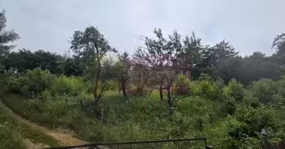 Teren Exterior Est