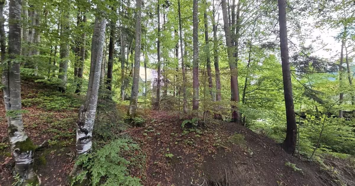 Teren intravilan de vânzare de 720 mp, în Sinaia