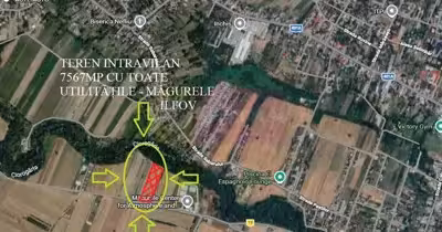 Teren Sud