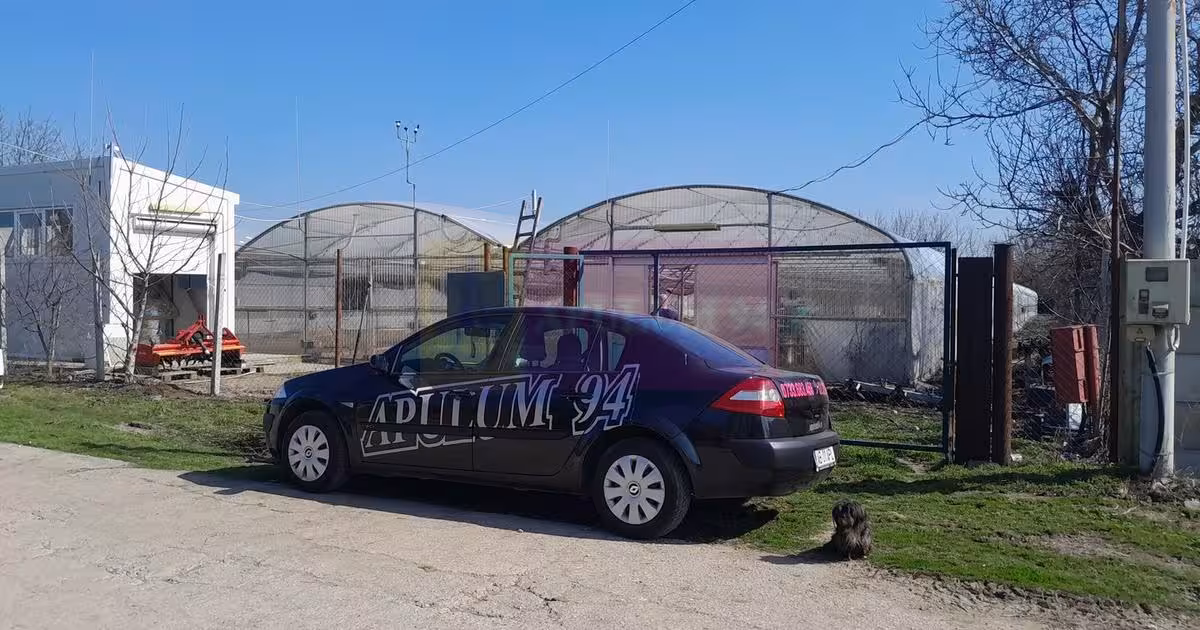 Teren Construcții intravilan de vânzare de 3144 mp, în Roșiori