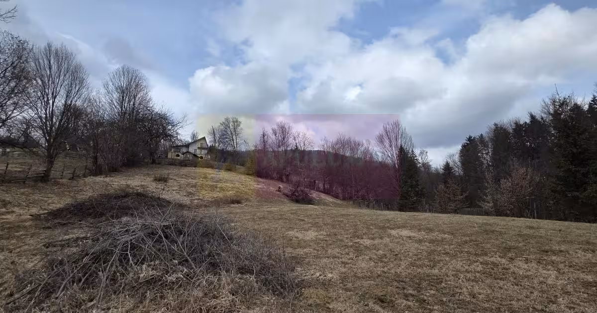 Teren Construcții intravilan de vânzare de 2500 mp, în Valea Doftanei