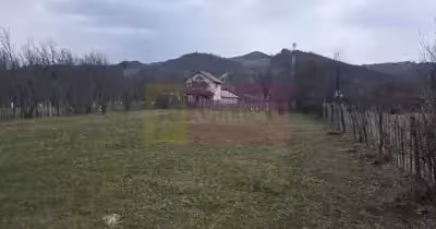 Teren Brebu