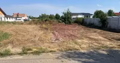 Teren Clinceni