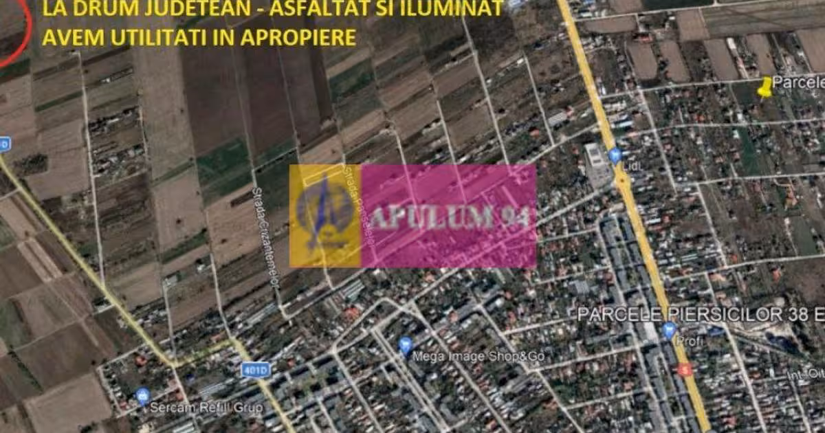 Teren Construcții intravilan de vânzare de 9313 mp, în 1 Decembrie