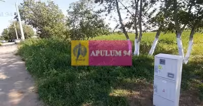 Teren Copăceni