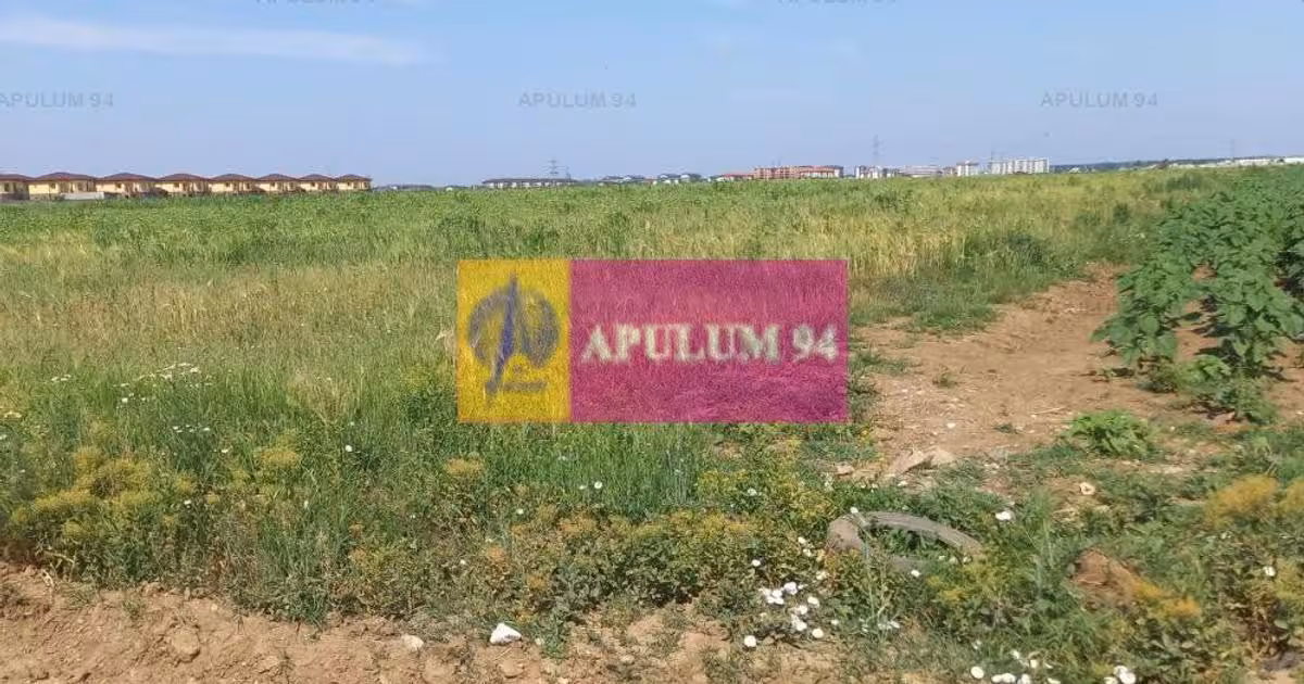 Teren Construcții intravilan de vânzare de 9000 mp, în Dobroești