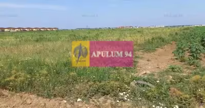Teren Dobroești