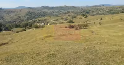 Teren Plaiul Tălii