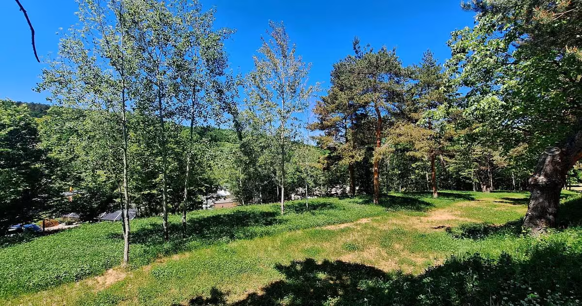Teren intravilan de vânzare de 3660 mp, în Cisnădioara