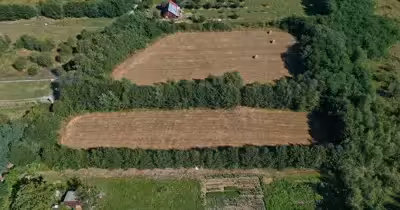Teren Exterior Est