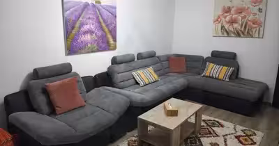 Apartament Vasile Aaron
