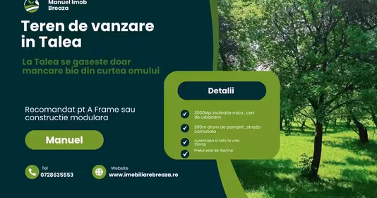 Teren Tălii
