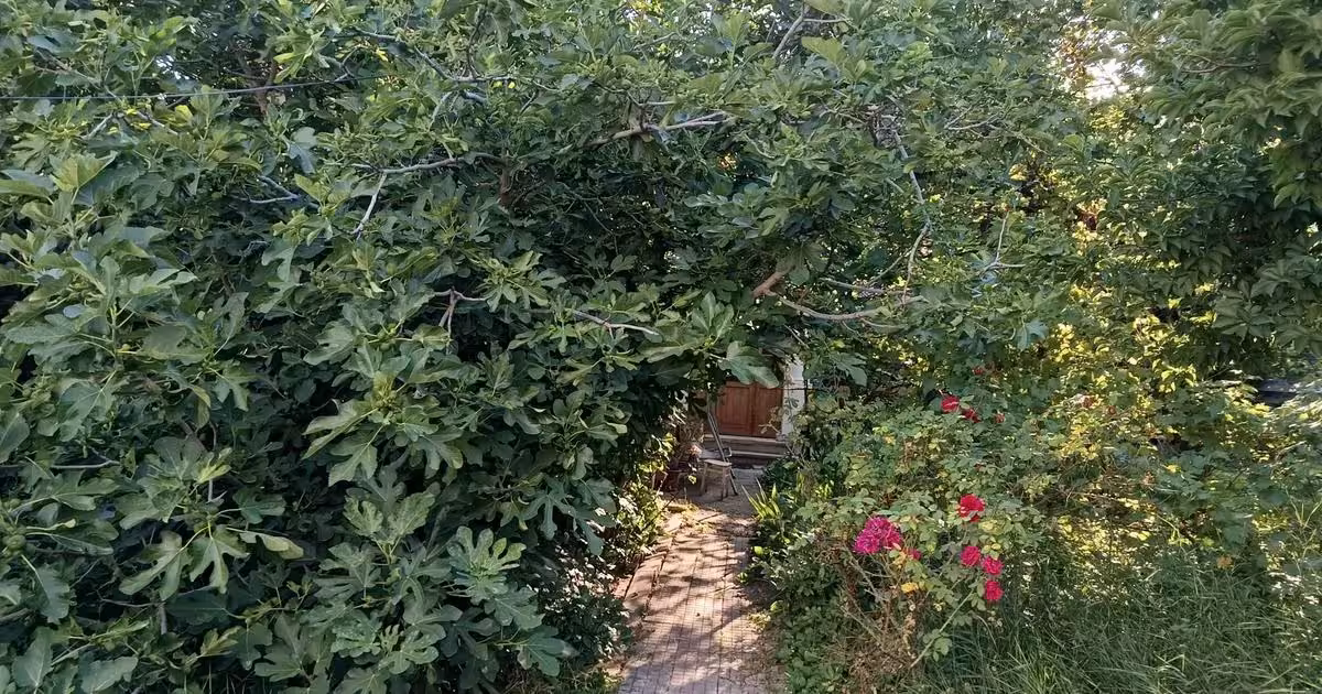 Casă individuală de vânzare cu 3 camere în zona Mitropolie, Ultracentral