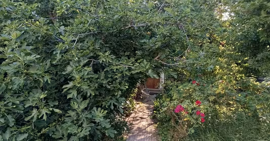 Casă Mitropolie