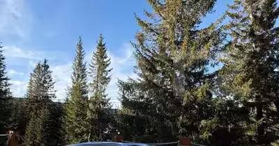 Casă Muntele Băișorii