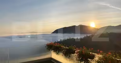 Penthouse Drumul Poienii