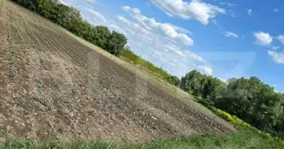 Teren Rădăuți