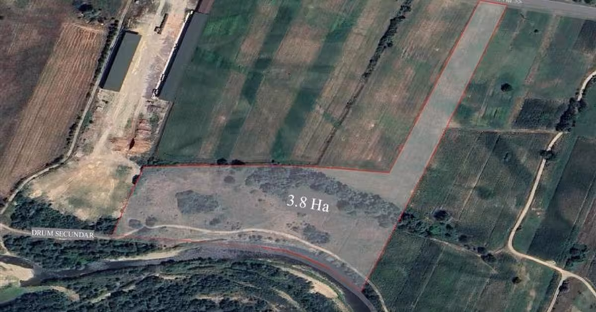 Teren Construcții intravilan de vânzare de 38054 mp, în Groși