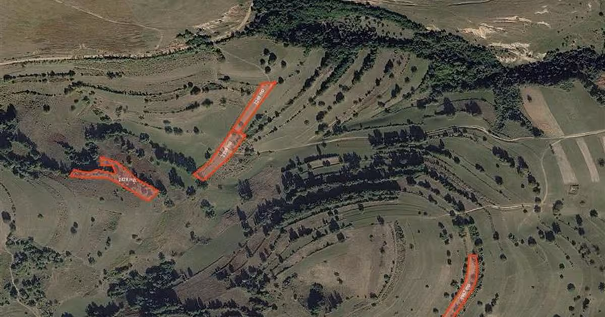 Teren intravilan de vânzare de 109310 mp, în Cărpinet