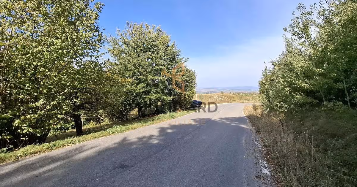 Teren Construcții intravilan de vânzare de 718 mp, în Sălicea
