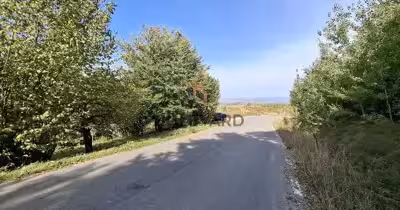 Teren Bună Ziua