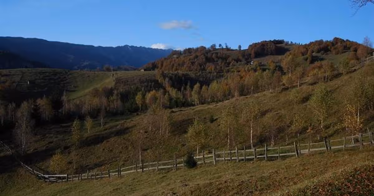 Teren Construcții extravilan de vânzare de 12150 mp, în Dâmbovicioara
