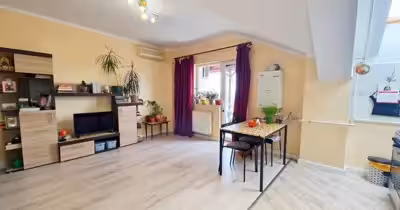 Apartament Theodor Pallady