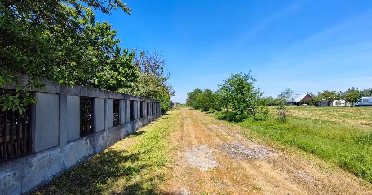 Teren Construcții intravilan de vânzare de 3000 mp, în Domnești