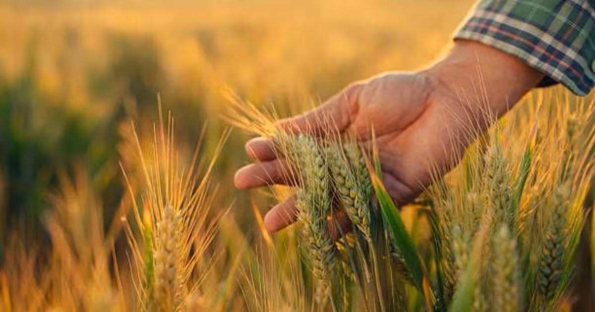 Teren agricol extravilan de vânzare de 11000000000 mp, în Stâlpu